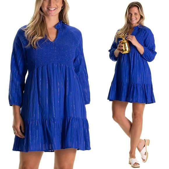 DUFFIELD LANE WREN DRESS BRIGHT BLUE METALLIC Size Small - Picture 1 of 8